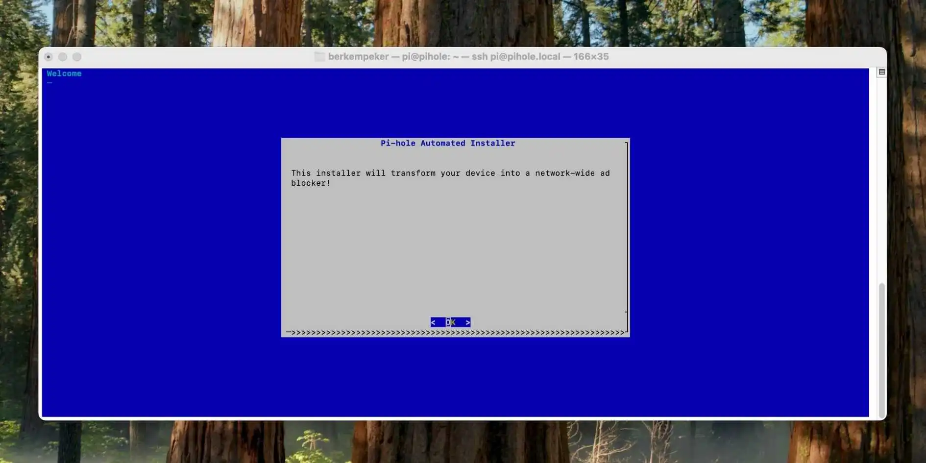 raspberry-pi-pihole-installation