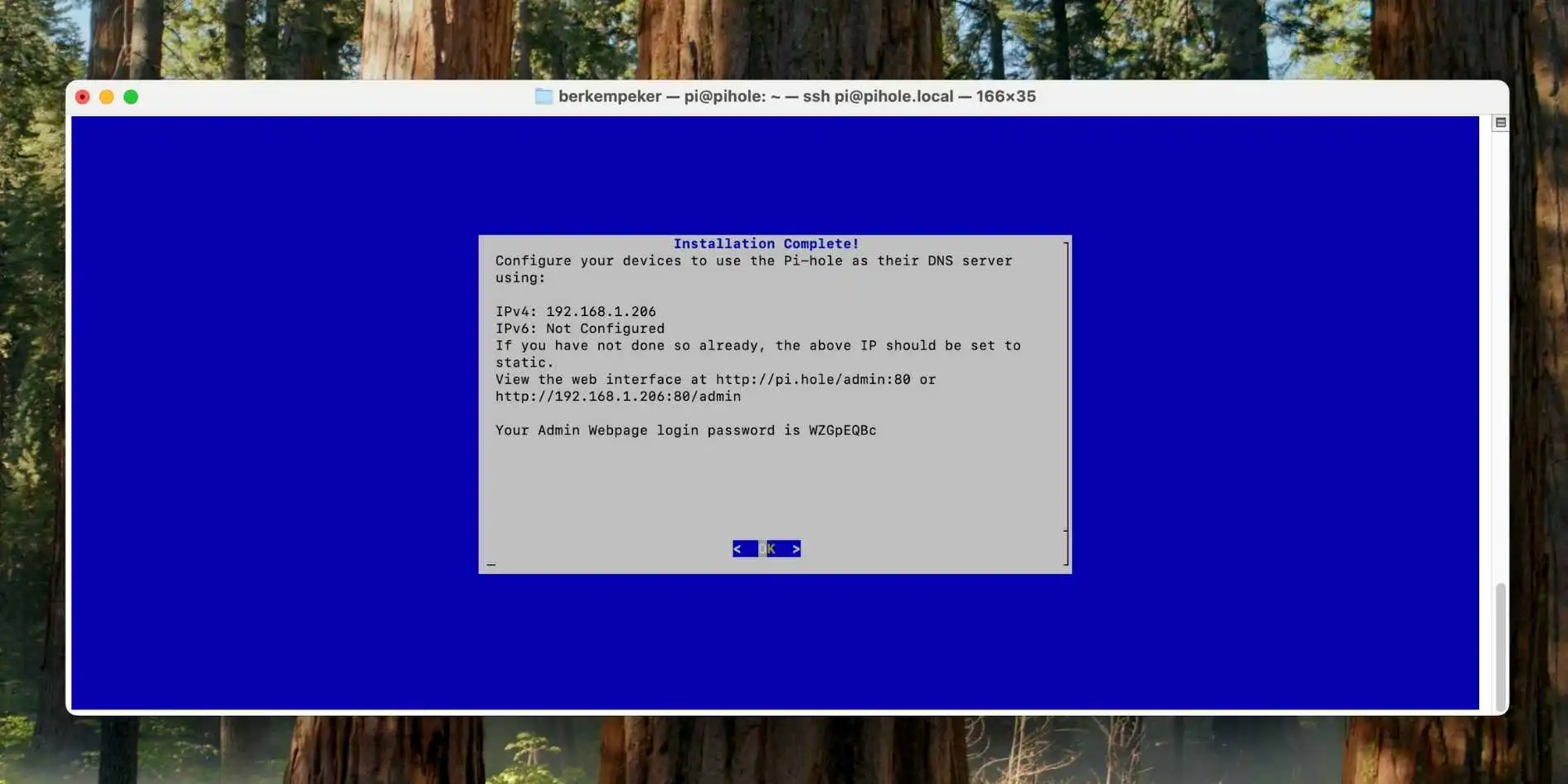 raspberry-pi-pihole-installation